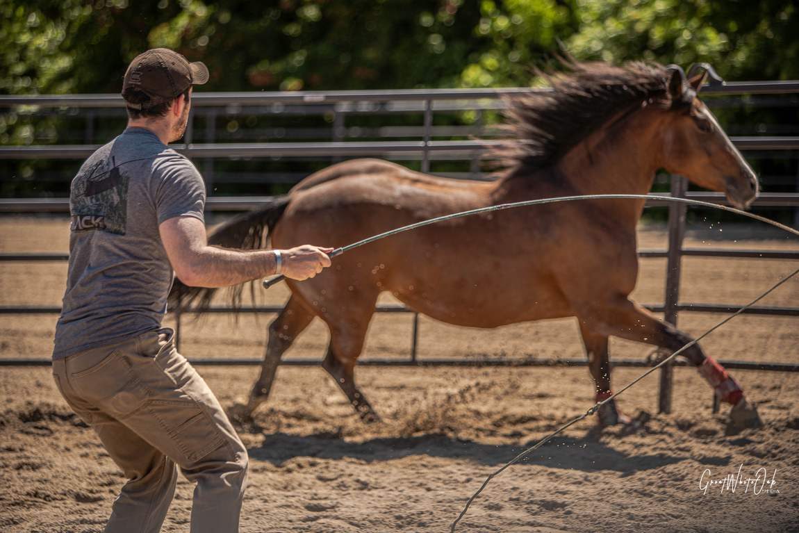 Round pen