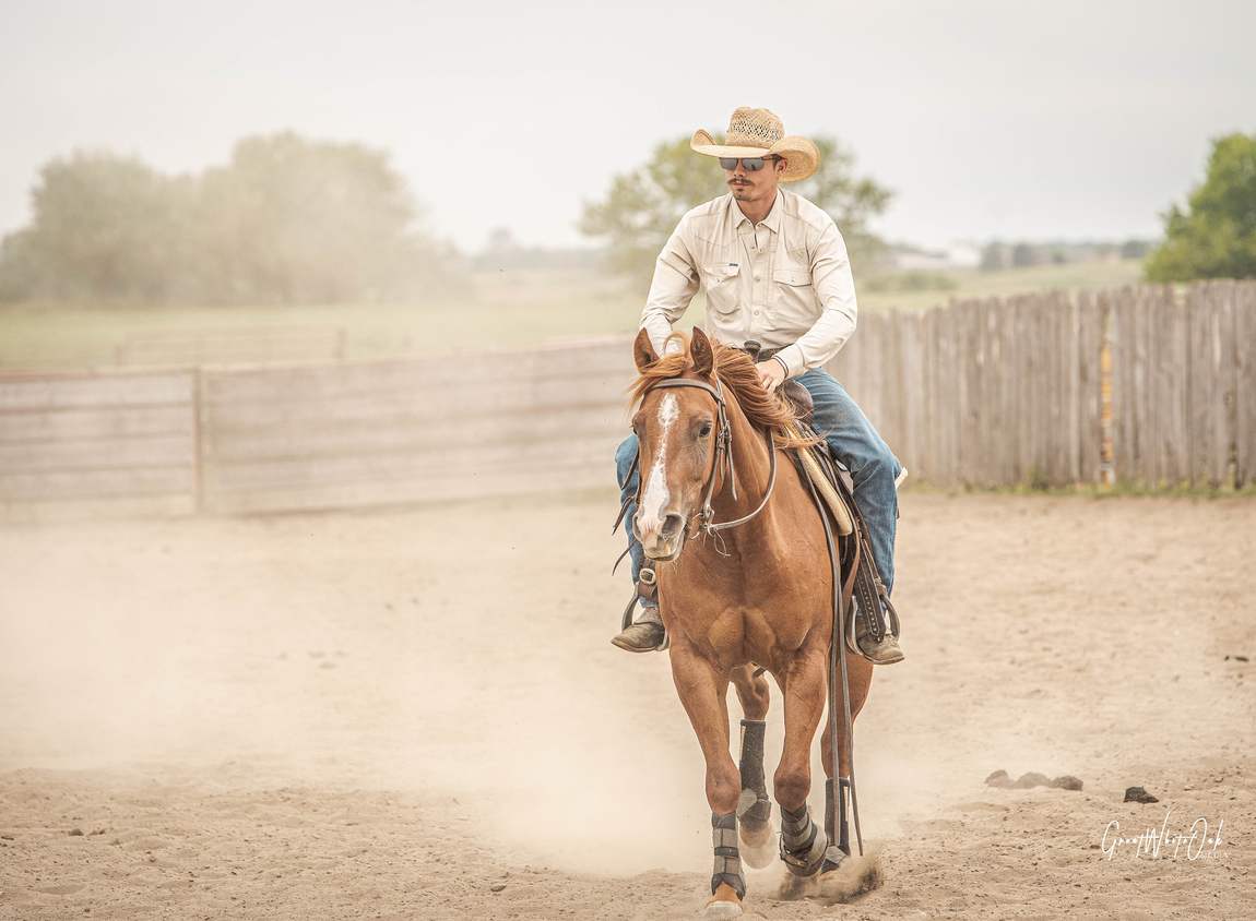 Loping out of the dust