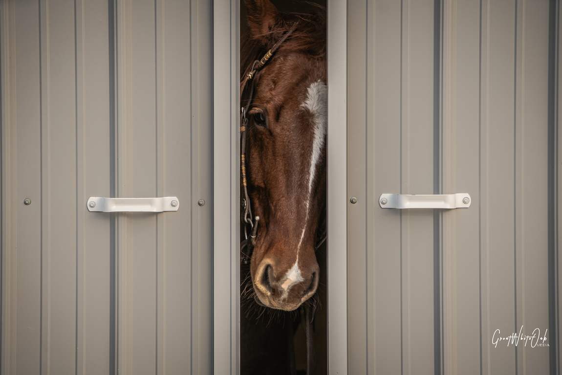 Between the doors