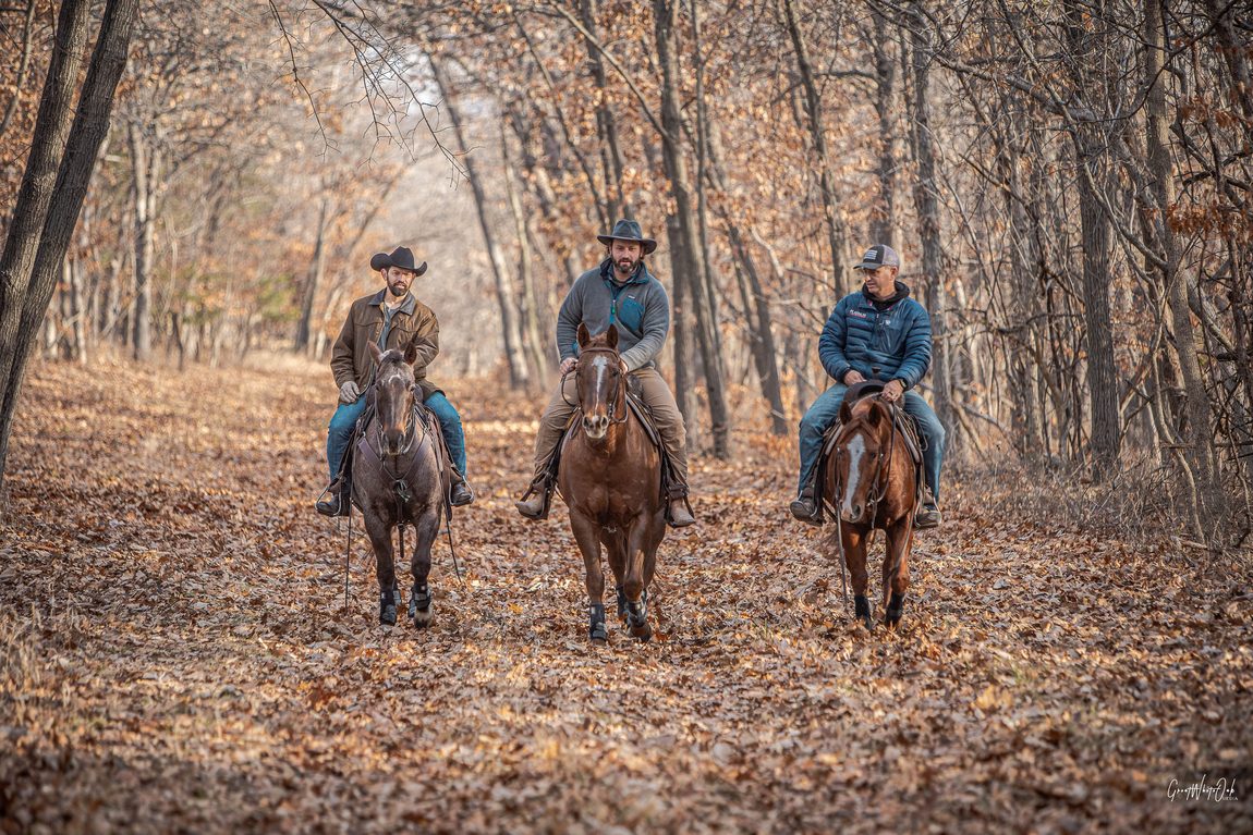Three up, autumn timber