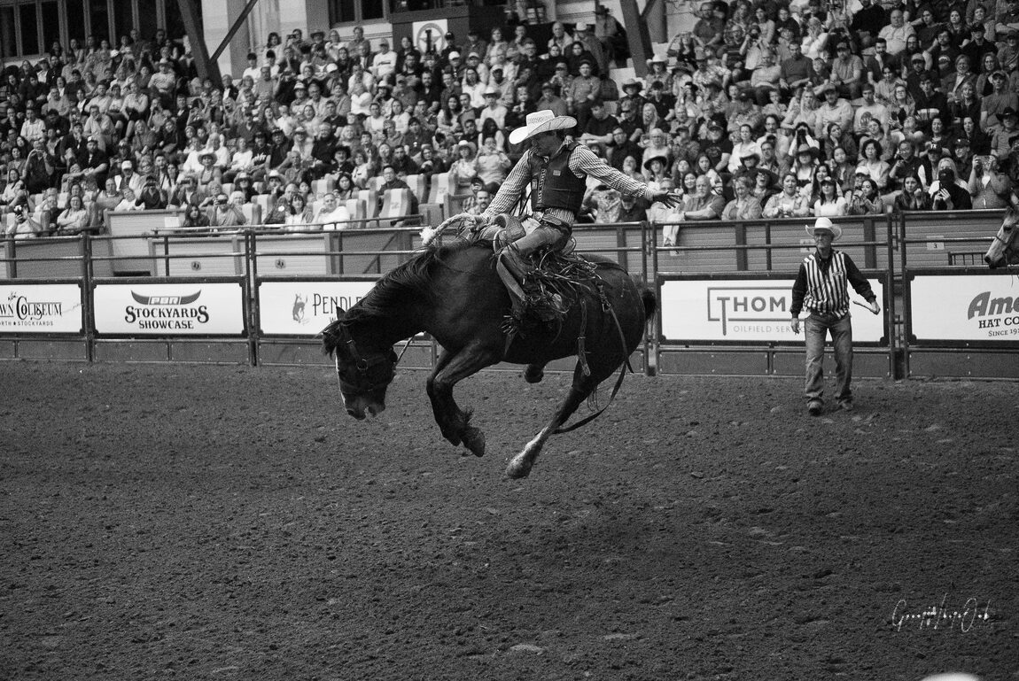 Saddle bronc
